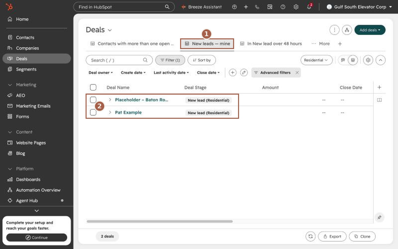 The New leads — mine tab showing two leads